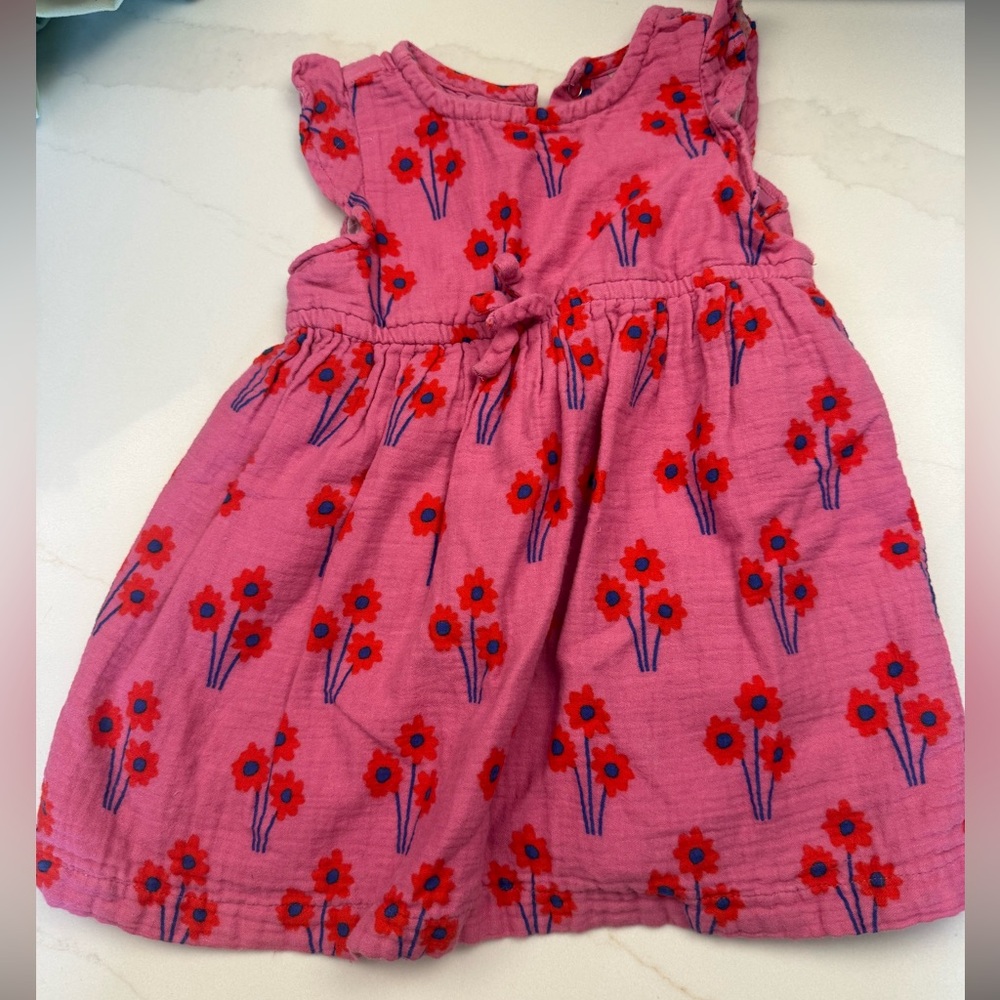 Hanna Andersson Pink Dress with Red Floral Pattern 18-24M